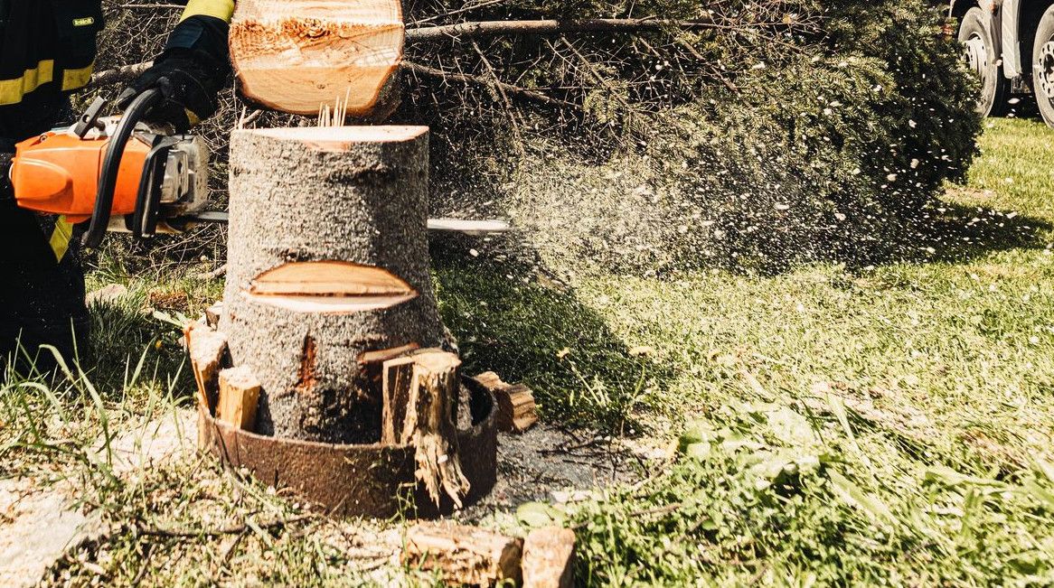 A firefighter uses a chainsaw to cut a tree stump while a truck assists in an outdoor setting.