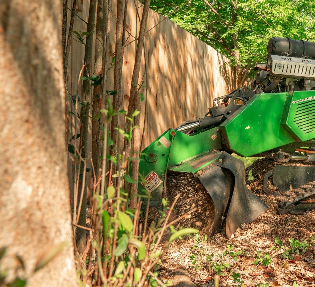 A worker operates a tree stump grinder.
