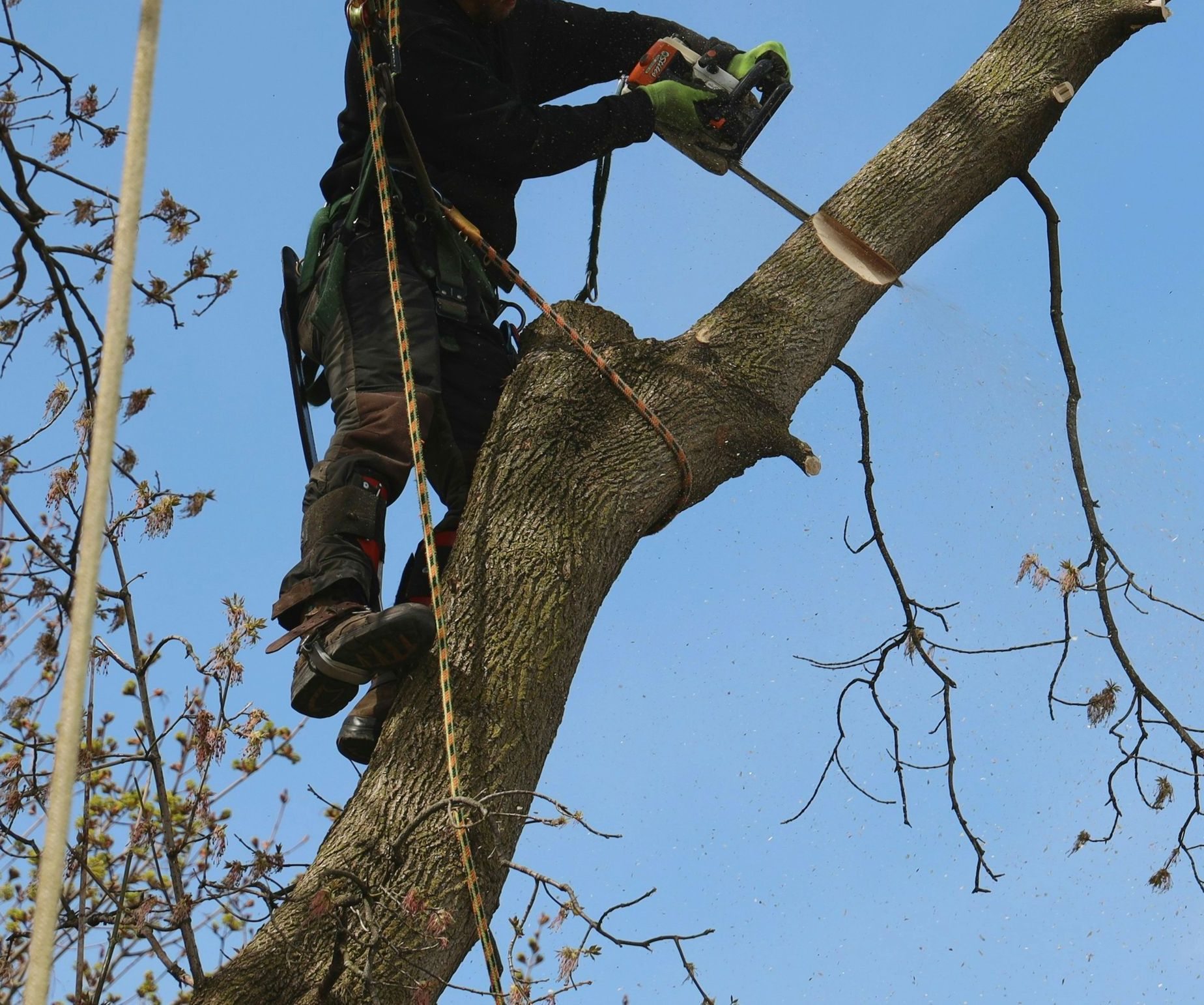 a man in a yellow helmet is climbing up a tree